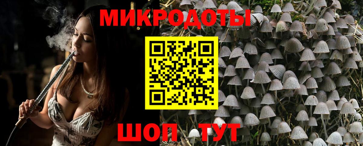 Галлюциногенные грибы MAGIC MUSHROOMS Чехов