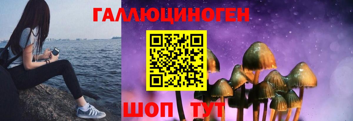 Галлюциногенные грибы Psilocybine cubensis  Галлюциногенные грибы GOLDEN TEACHER  Вход с VPN  Чехов 